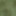 Matcha Green / Black