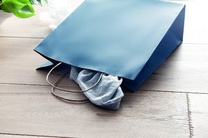 PAPER TONE S Eco-Friendly Small Kraft Paper Gift Bags with Handles - GiftRetail MO6172