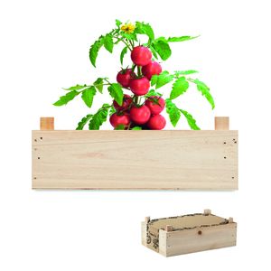 TOMATO Complete Tomato Growing Kit in Wooden Crate - GiftRetail MO6498